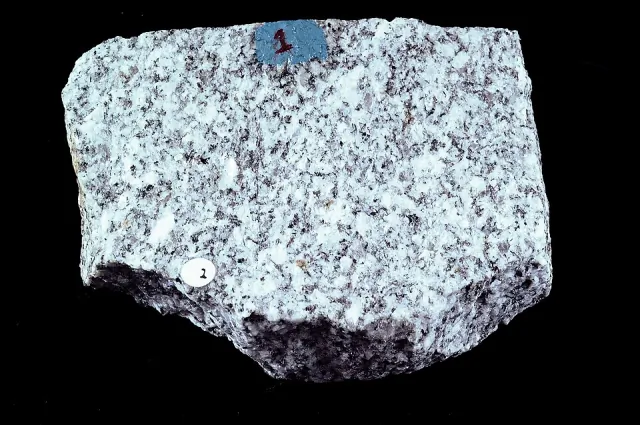 Biotite granite hand specimen with visible coarse grains